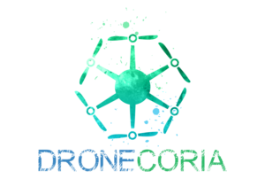 logo dronecoria