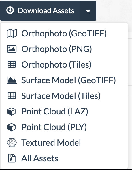 Tipos de salida de open drone maps