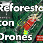 claves de la reforestación con drones